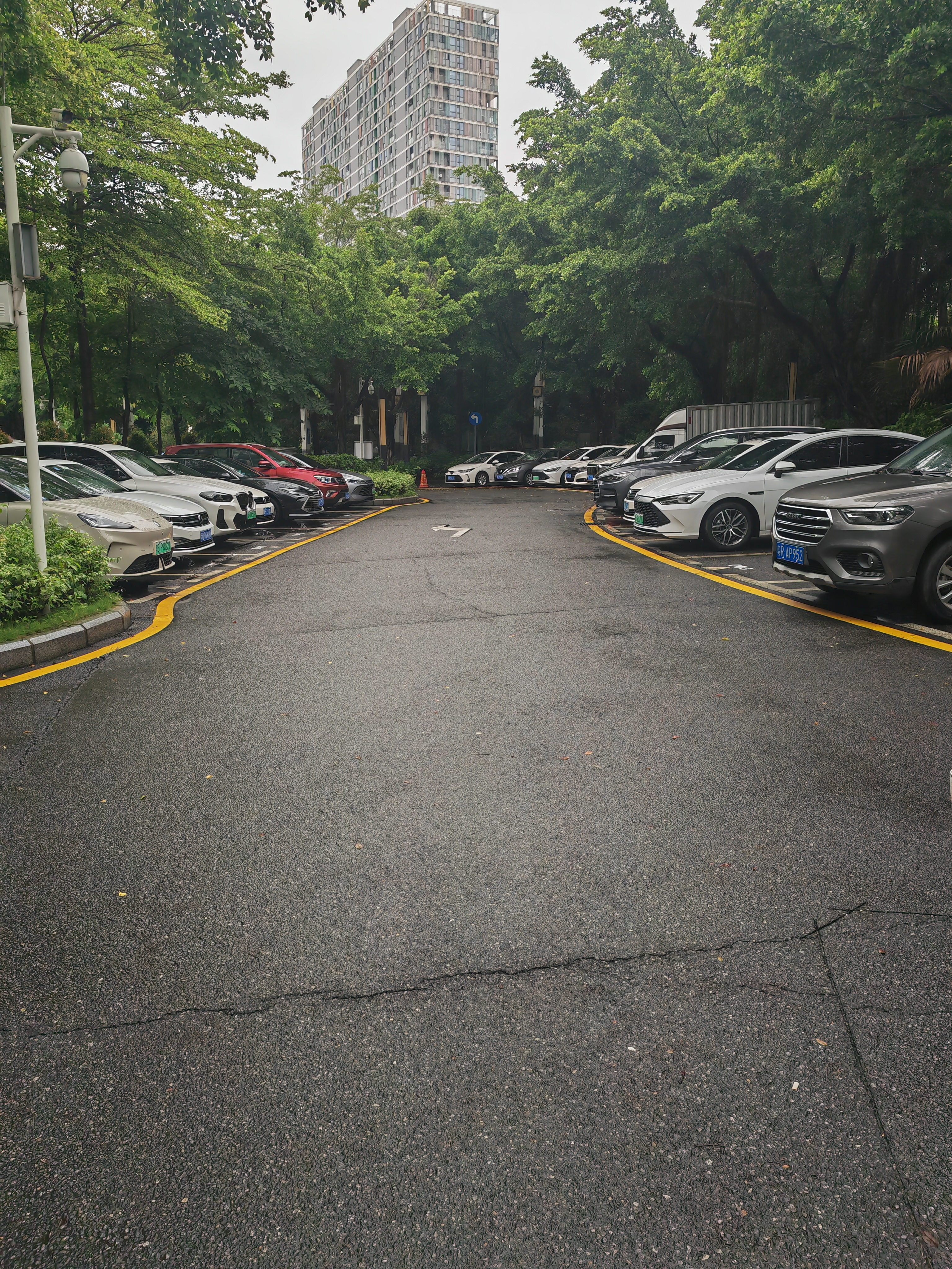 民治街道德逸公园地面停车场租赁项目